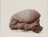 Etna, Bomba dalla bocca no. 7; quarzito ricoperto di lava nuova (grandezza naturale)