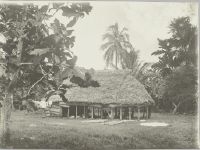 Samoa, Upolu 1907