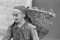 Farmer woman in Maggia Valley