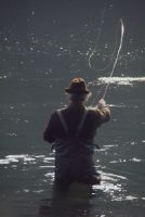 Amateur fisherman, fishing with flies in the Rhine River