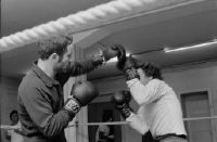 Italians boxing, guest workers