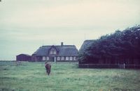 Morsum, houses, pasture