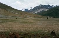 On trekking, In Suru Valley, Ascent to Pensi-La, In Zanskar Valley, Rangdum
