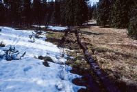 HM 022, Mouille de la Vraconne, bog soil: snow-covered, mineral soil: snow-free
