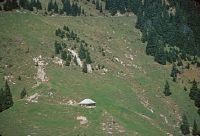 Entlebuch, Gross Entlental, overused alpine pasture on Vorder Tor