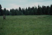 Tiefenberger Moor southeast (SE) of Sonthofen, regeneration area on peat-covered raised bog, Person= Jes Tüxen