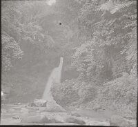 The Dago Waterfall near Bandoeng [Bandung].