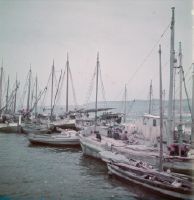 Trieste, harbor picture