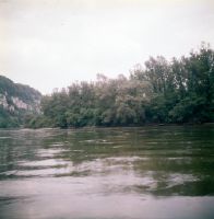 White pastures on the Danube