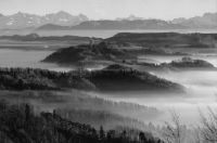 Zurich, Uetliberg, sea of fog - panorama Schwyz & Uri Alps, view to south (S)