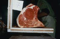 Dimension beef pieces (T-bone shape) 1, copy 7