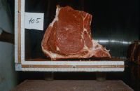 Dimension beef pieces (T-bone shape) 2, copy 105