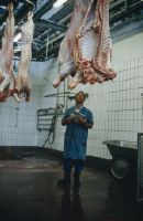 Beef project 2: Calf slaughter, 14.16.07.1986