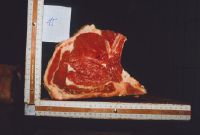 Dimension beef pieces (T-bone shape) 3, copy 15