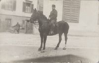 Soldier with horse