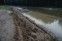 Altikon, flood remediation of the Thur river