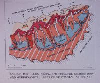 Sketch-Map illustrating the principal sedimentary and morphological units of NE coastal Abu Dhabi