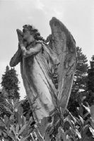 Zurich-Wiedikon, Aemtlerstrasse 151, Sihlfeld A Cemetery, grave no. 82029, grave marker with angel