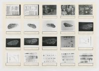 Catalog of negatives: contact copies from PI_55-M-0041 to PI_55-M-0059