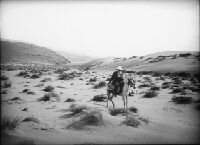 On the eastern edge of the dunes of Ain-Sefra, Prof. Albert Heim