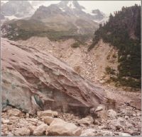 Glacier du Trient, Glacier des Grands
