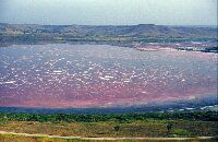 Shallow, highly saline crater lake in the plain around Lake Edward, Uganda.