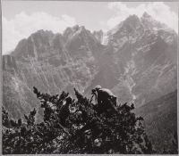 Gansser, ob Lata, v. 3250 m