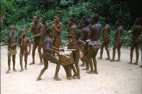 Pygmies in Ituri forest already degenerated, drumming and flute for white tourists