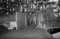 Arrival of the female elephant "Pama" from Stuttgart at Zurich Zoo