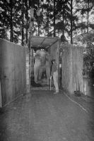 Arrival of the female elephant "Pama" from Stuttgart at Zurich Zoo