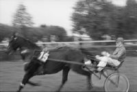 Dielsdorf, equestrian center, international horse races, end of the gallop season