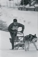 Andermatt, Sled Dog Race, European Championship