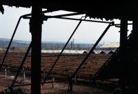 Rila in the Struma Valley, Tobacco Factory