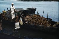 Boat full of coconut shells, India