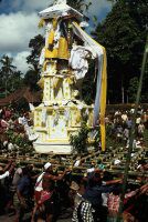 Bali, cremation, tower carry to cemetery