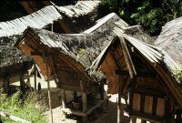 Celebes, Toradja [i.e. Toraja] - village above Rantepao