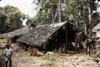 Mombasa, carver in coconut grove