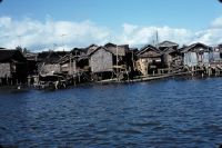 Samar, Basey river, pile dwellings, teak logs