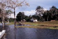Manaus, Rio Negro, pile dwellings