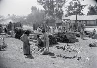 Abyssinia market