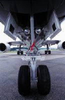 Detailed view of the landing gear of a McDonnell Douglas MD-11 of Swissair