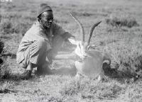 Local man with shot horse antelope