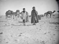 Nomads with camel herd near Cape Juby