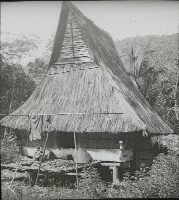 Karo houses, Batakker houses covered with jdjoek (fibers of leaf sheath of Arenga saccharif.-Indigo left).