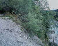 Reutigen BE, Spiez BE, bank and riverbed of the Kander at approx. km 3.50 in Augand