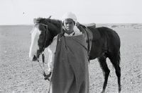 Man with horse in the desert