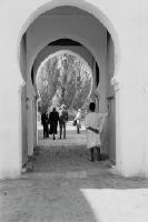Gate to a garden in Fez