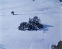 Winter atmosphere near Einsiedeln