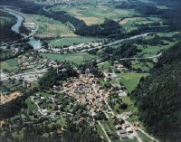 Tamins, Reichenau