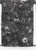 Electron microscope plates